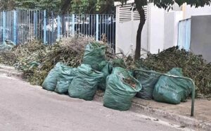 Μαρούσι: Ολοκληρώθηκαν οι εργασίες καθαρισμού και συντήρησης πρασίνου των Σχολείων και Παιδικών Σταθμών του Δήμου
