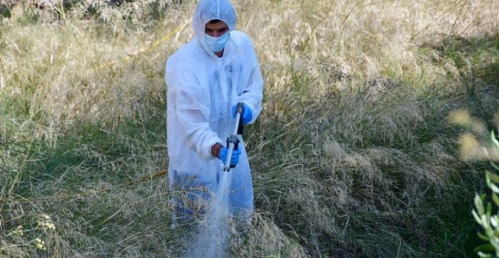 Περιφέρεια Αττικής: Συνεχίζεται στην Ανατολική Αττική, το πρόγραμμα επίγειων ψεκασμών για την καταπολέμηση των κουνουπιών