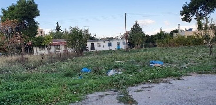Χαλάνδρι: «Πεύκο Πολίτη»