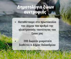 Χαλάνδρι: Δημοτολόγιο για τα ζώα συντροφιάς δημιουργεί ο Δήμος– Θα τοποθετηθούν δωρεάν 200 μικροτσίπ