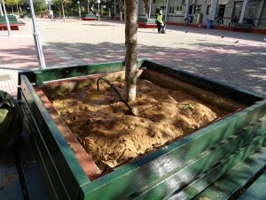 Μαρούσι: Φυτεύσεις και συντήρηση πρασίνου στην περιοχή των Εργατικών Κατοικιών του Δήμου