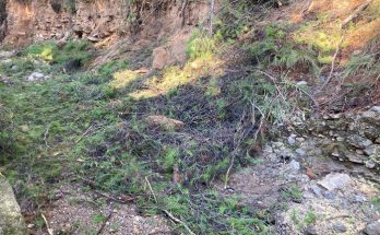 Πεντέλη: Καθαρισμός της κοίτης του ρέματος κατά μήκος της οδού Τήνου