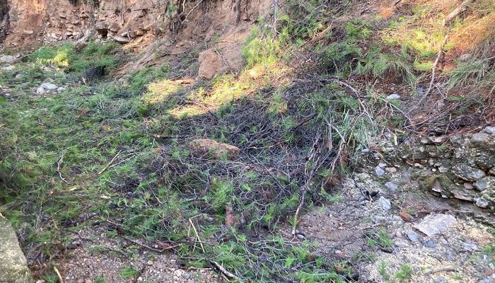 Πεντέλη: Καθαρισμός της κοίτης του ρέματος κατά μήκος της οδού Τήνου