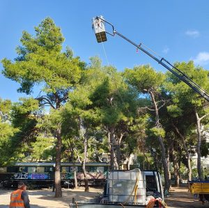 Λυκόβρυση Πεύκη : Ξεκίνησε ο ψεκασμός για τον έλεγχο του πληθυσμού της κάμπιας του πεύκου