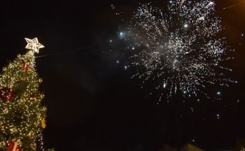 Νέα Ιωνία:  Το Πρόγραμμα των