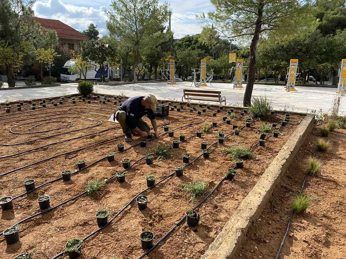 Πεντέλη: Εργασίες περιποίησης και αναζωογόνησης του πρασίνου σε όλη την πόλη