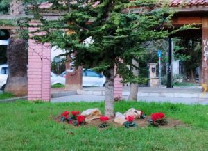 Λυκόβρυση Πεύκη: Συνεργεία του Δήμου προχώρησαν στη φύτευση κόκκινων  κυκλάμινων –  Έδωσαν  χρώμα στην πόλη