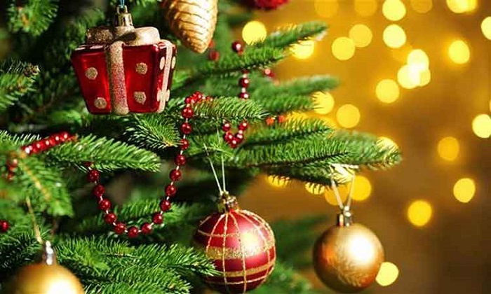 Χαλάνδρι :Ανάβουμε το χριστουγεννιάτικο δέντρο – Η πόλη γιορτάζει!