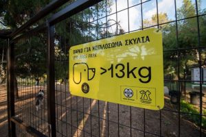 Αθήνα: Νέα «dog parks» στο Άλσος Χωροφυλακής και στον Λόφο Λαμπράκη