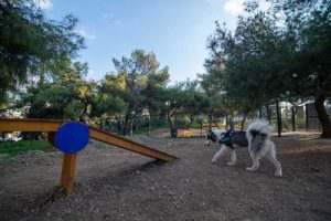 Αθήνα: Νέα «dog parks» στο Άλσος Χωροφυλακής και στον Λόφο Λαμπράκη