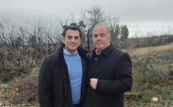 Διόνυσος: 35.000 δένδρα, επί το πλείστον πλατύφυλλα θα φυτευτούν μέχρι τον ερχόμενο Μάρτιο στην περιοχή Αγία Τριάδα του Άγιου Στέφανου
