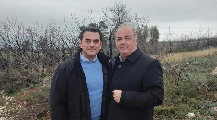 Διόνυσος: 35.000 δένδρα, επί το πλείστον πλατύφυλλα θα φυτευτούν μέχρι τον ερχόμενο Μάρτιο στην περιοχή Αγία Τριάδα του Άγιου Στέφανου