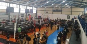Λυκόβρυση Πεύκη:  Στους αγώνες kickboxing στο Δημοτικό Γυμναστήριο Πεύκης ο Δήμαρχος