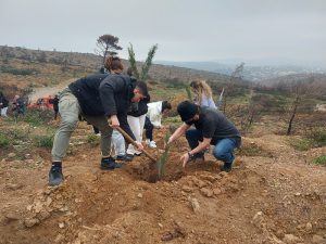 ΣΠΑΠ: Με την συμμετοχή μαθητών από την Εράσμειο Ελληνογερμανική Σχολή πραγματοποιήθηκε η 2ηΑναδάσωση για το 2023