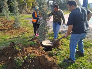 Κηφισιά: «Σύλλογος  Ο ΚΗΦΙΣΣΟΣ» Δεντροφύτευτη μεταξύ των οδών Ποταμού και Καλαβρύτων στις Αδάμες