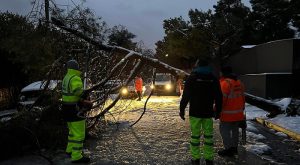 Κηφισιά: Πτώση δέντρου στην Πεντέλης και Κορώνης