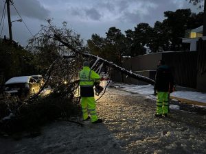 Κηφισιά: Πτώση δέντρου στην Πεντέλης και Κορώνης