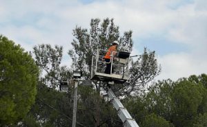 Κηφισιά: Ο Δήμος υλοποιεί και φέτος προληπτικό πρόγραμμα κλαδέματος δέντρων