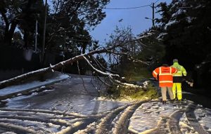 Κηφισιά: Πτώση δέντρου στην Πεντέλης και Κορώνης