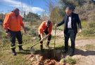 Παπάγου Χολαργός: Ο  αντιπεριφερειάρχης Γιάννης Κεχρής στην εθελοντική δενδροφύτευση στους χώρους πέριξ των Αθλητικών Κέντρων