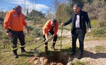 Παπάγου Χολαργός: Ο  αντιπεριφερειάρχης Γιάννης Κεχρής στην εθελοντική δενδροφύτευση στους χώρους πέριξ των Αθλητικών Κέντρων