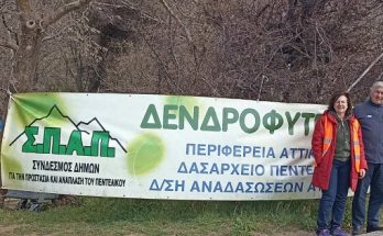 ΣΠΑΠ: Με μεγάλη επιτυχία και πλήθος κόσμου πραγματοποιήθηκε η 7η Εθελοντική Αναδάσωση για το 2023