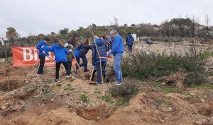 ΣΠΑΠ:  Πραγματοποιήθηκε η 6η Εθελοντική Αναδάσωση για το 2023 σε συνεργασία με την Ελληνογαλλική Σχολή Ουρσουλίνων.