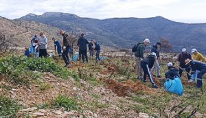 ΣΠΑΠ: Με μεγάλη επιτυχία και πλήθος κόσμου πραγματοποιήθηκε η 7η Εθελοντική Αναδάσωση για το 2023 