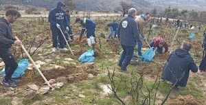 ΣΠΑΠ: Με μεγάλη επιτυχία και πλήθος κόσμου πραγματοποιήθηκε η 7η Εθελοντική Αναδάσωση για το 2023 