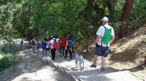 Κυνηγώντας την ουρά μας!»- 2η εκδήλωση δυναμικού βαδίσματος με ζώα συντροφιάς, στο Χαλάνδρι  7 Μαΐου στη Ρεματιά – Δηλώστε συμμετοχή!