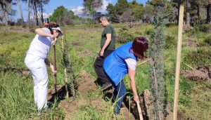 Διόνυσος: Δενδροφύτευση σε Ροδόπολη και Κρυονέρι το Σάββατο 22/4