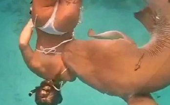 Ο καρχαρίας 100 κιλών δάγκωσε στην πλάτη και τον ώμο την 30χρονη κολυμβήτρια στις Μαλδίβες