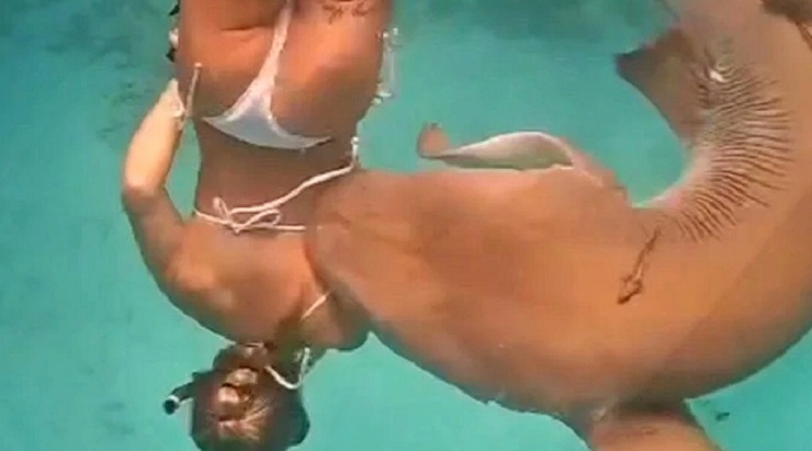 Ο καρχαρίας 100 κιλών δάγκωσε στην πλάτη και τον ώμο την 30χρονη κολυμβήτρια στις Μαλδίβες