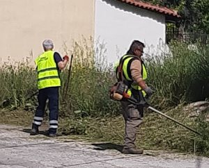 Μαρούσι: Με πρόγραμμα και τάξη η καθημερινή φροντίδα των χώρων Πρασίνου