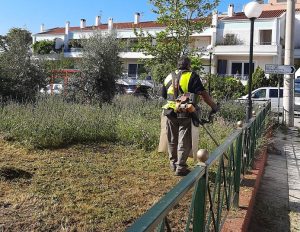 Μαρούσι: Με πρόγραμμα και τάξη η καθημερινή φροντίδα των χώρων Πρασίνου