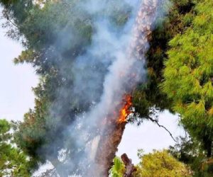 Μαρούσι: Κεραυνός χτύπησε δέντρο πάνω από γνωστή καφετέρια όπου πήρε φωτιά