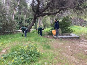 Πεντέλη: Με μεγάλη συμμετοχή, παρά το συννεφιασμένο καιρό η δράση εθελοντικού καθαρισμού στον περιβάλλοντα χώρο του ΝΙΕΝ