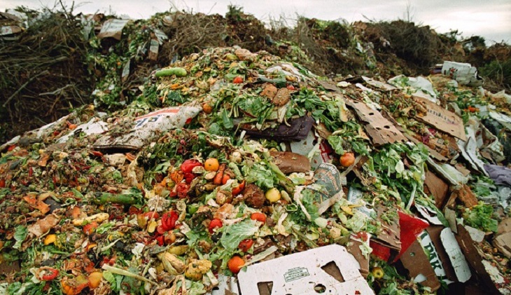 Χαλάνδρι : «Συμμαχία για τη Μείωση της Σπατάλης Τροφίμων» Συμμετέχει με σχεδόν ομόφωνη γνώμη των μελών του Δημοτικού Συμβουλίου το Χαλάνδρι