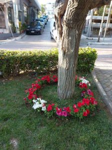 Διόνυσος: Πρωτομαγιά , πλημμυρίσει η πόλη με λουλούδια και ανοιξιάτικα χρώματα 