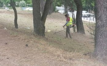 ΣΠΑΠ : Συνεχίζονται από τον σύνδεσμο οι  δράσεις καθαρισμών και αποψιλώσεων