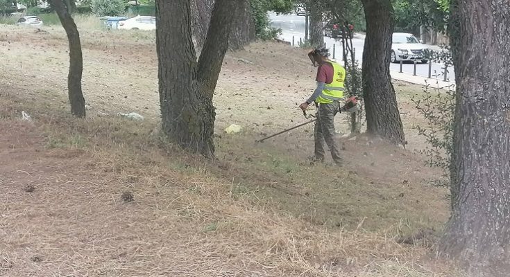 ΣΠΑΠ : Συνεχίζονται από τον σύνδεσμο οι  δράσεις καθαρισμών και αποψιλώσεων
