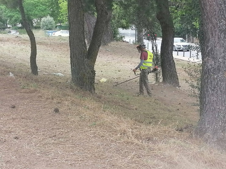 ΣΠΑΠ : Συνεχίζονται από τον σύνδεσμο οι  δράσεις καθαρισμών και αποψιλώσεων