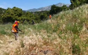 Χαλάνδρι: Μέτρα πρόληψης πυρκαγιών – Συναγερμός για τον καθαρισμό των οικοπέδων