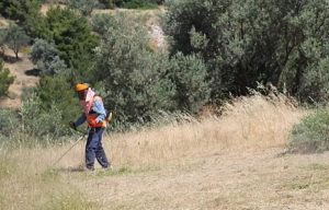 Χαλάνδρι: Μέτρα πρόληψης πυρκαγιών – Συναγερμός για τον καθαρισμό των οικοπέδων