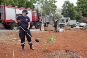 Μαρούσι: «Δράση δενδροφύτευσης στις Εργατικές Κατοικίες» Με πρωτοβουλία της Εθελοντικής Ομάδας Πολιτικής Προστασίας του Δήμου