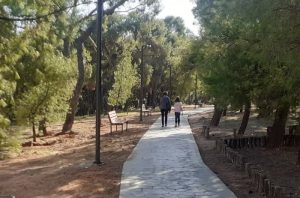 «Παγκόσμιας Ημέρας Περιβάλλοντος» Άντα Μπούσουλα « Δίνουμε περισσότερο οξυγόνο στη ζωή μας -Προστατεύουμε και αναδεικνύουμε τα αστικά μας δάση – Αντιμετωπίζουμε την πλαστική ρύπανση »