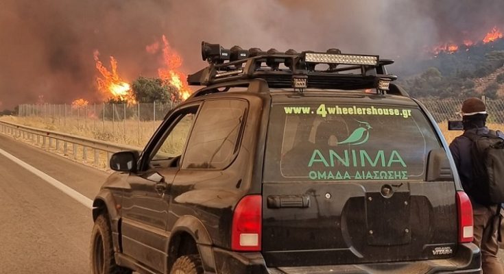 Η Ομάδα Διάσωσης ΑΝΙΜΑ στο μέτωπο στο μέτωπο των πυρκαγιών