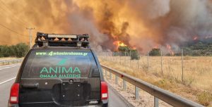 Η Ομάδα Διάσωσης ΑΝΙΜΑ στο μέτωπο στο μέτωπο των πυρκαγιών