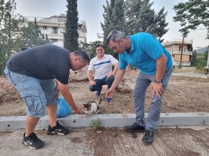 Παπάγου Χολαργός: «Συν - Πολις» Δράση του συνδυασμού για τους τετράποδους φίλους