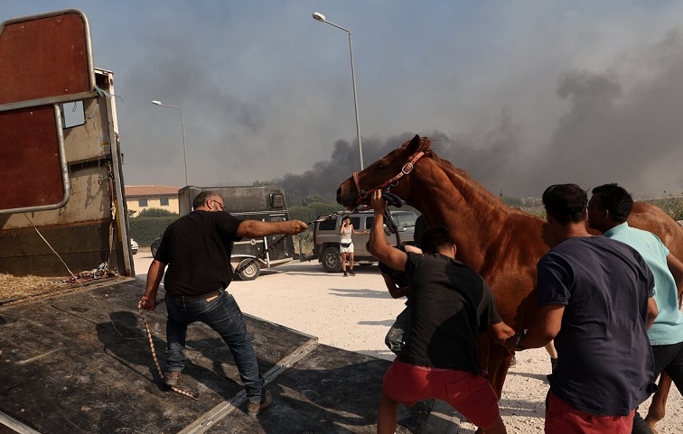 Πεντέλη : Πάνω από 80 άλογα έσωσε από τις φλόγες προχθές στην Ανάβυσσο ο Γιώργος Μαγγίνας